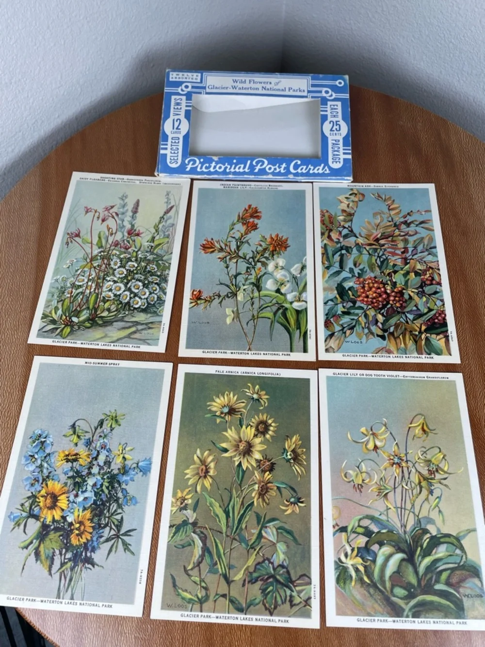 Vintage Pack of Postcards Glacier-Waterton National Parks Floral Set of 12